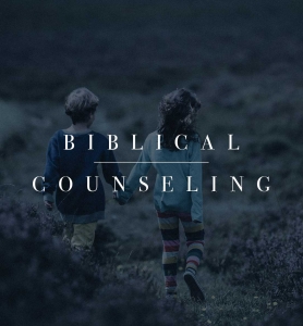 Berean Bible Church Sermon Series Biblical Counseling
